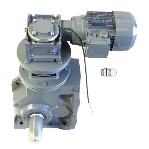 5560-5255-055 Мотор редуктор с двойным углом  0.55kW Shaft 50mm 3.1Rpm Chain ГPC E